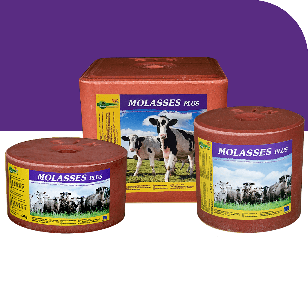 MOLASSES PLUS Sin