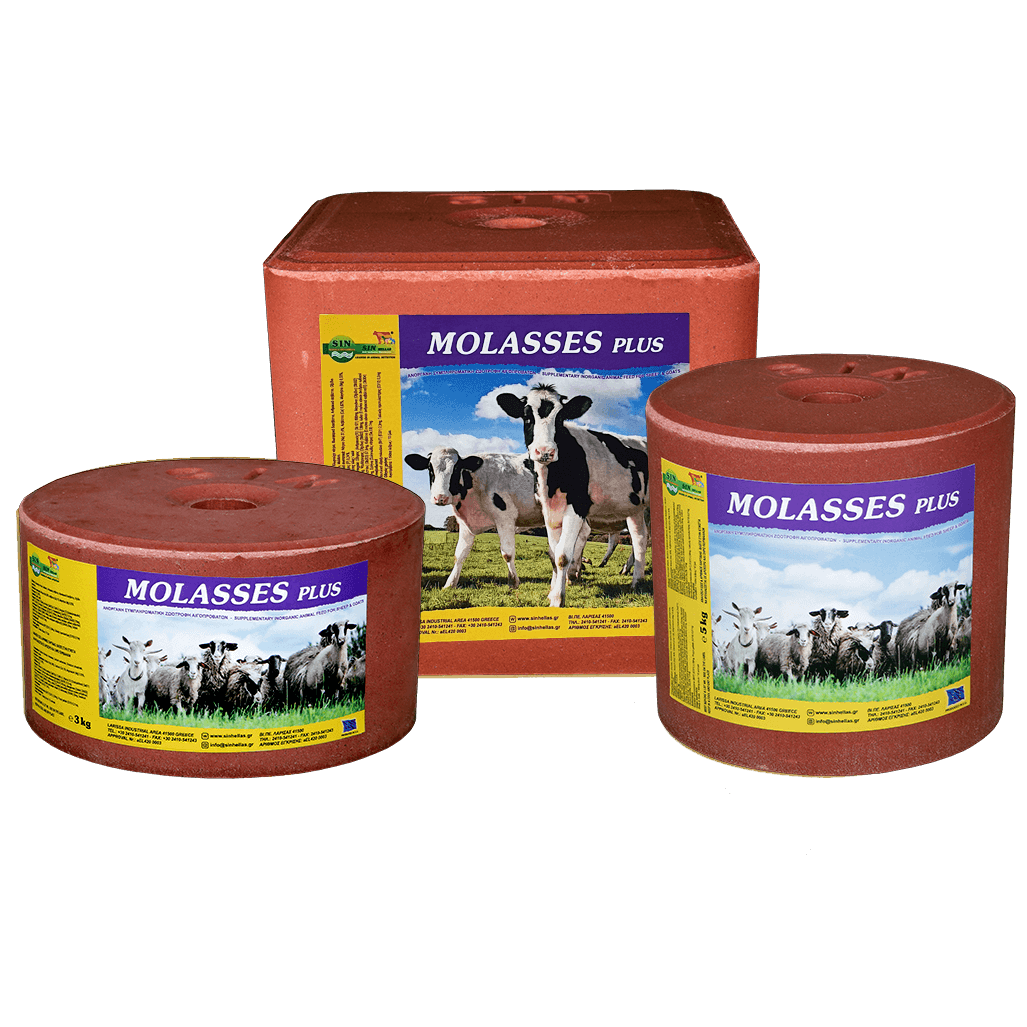 MOLASSES PLUS Sin