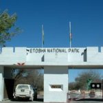 VIAJANDO POR NAMIBIA – 13/8/2003 – Visitando el Etosha National Park de este a oeste