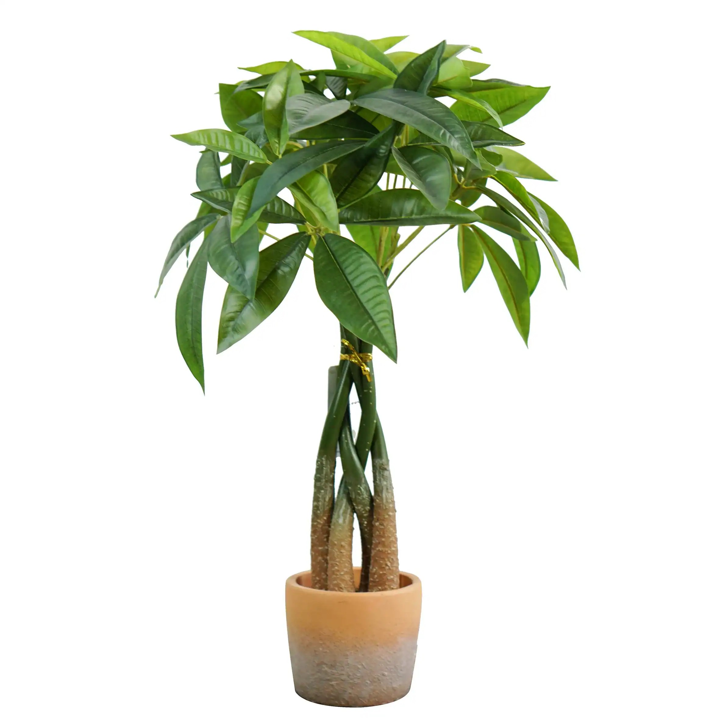 2ft artificial money tree in pot Sinleen Artificial Plant