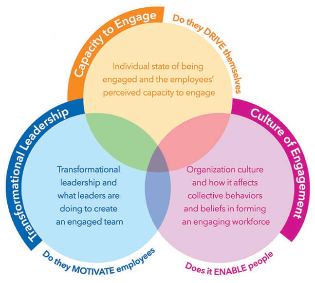 Employee Engagement Services Sino Associates Your Trusted