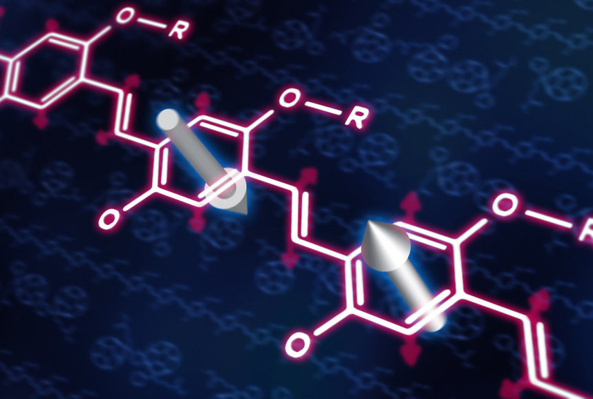 Organic Spintronics INSPIRE Group