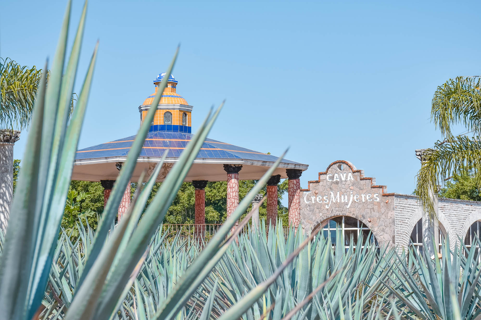 10 Cosas que hacer en Tequila Sin Postal