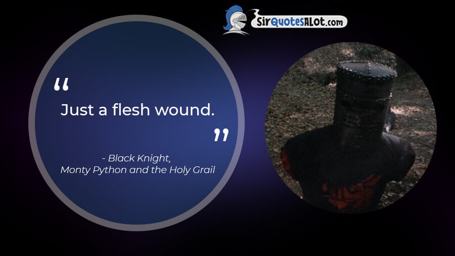 180+ Hysterical Monty Python Quotes Sir QuotesALot