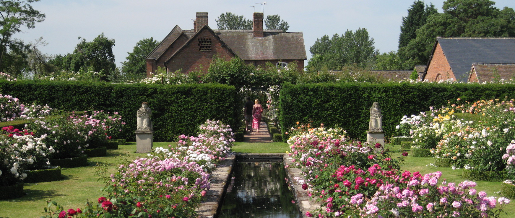 David Austin Roses (23) Sisley Garden Tours