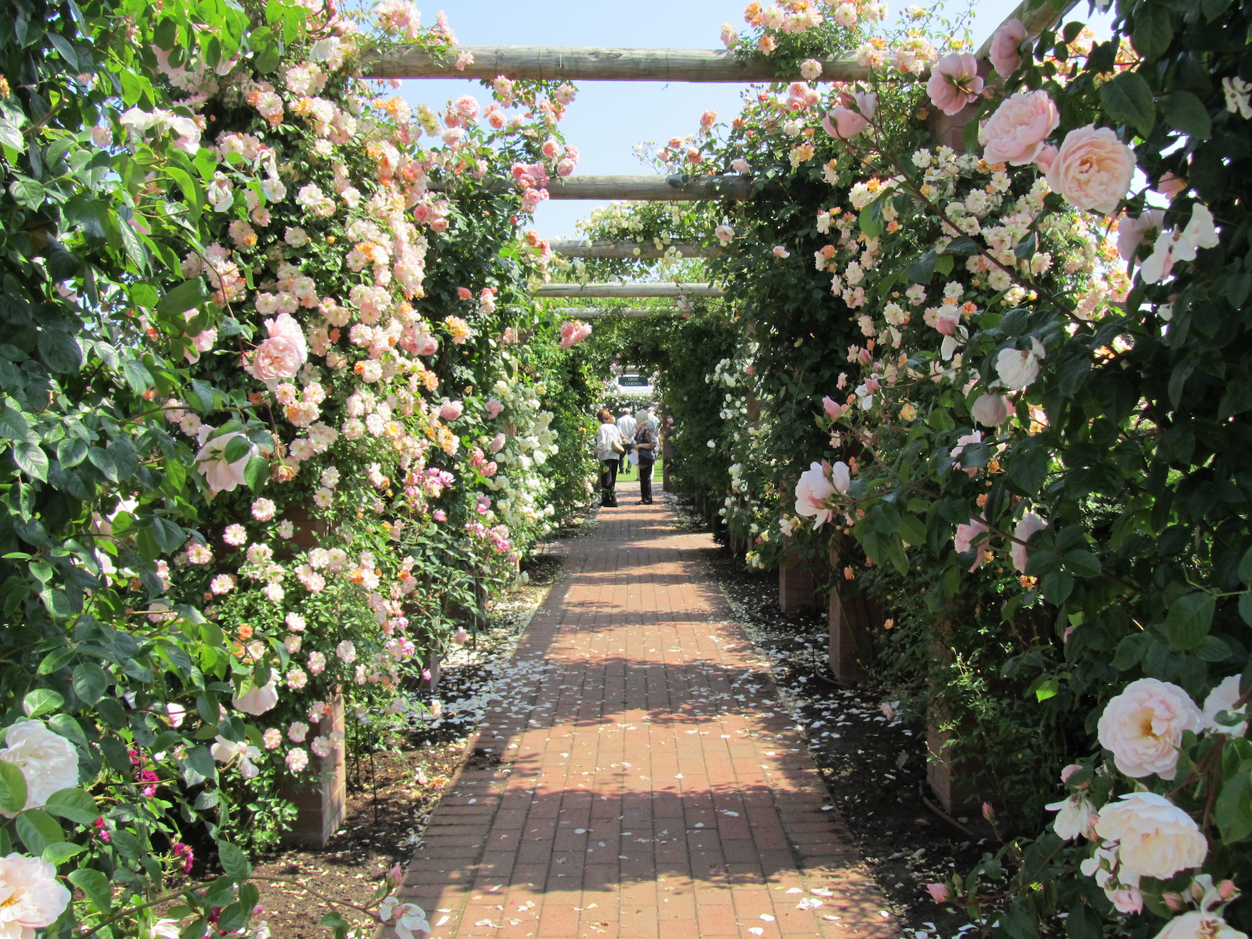 Our Top Ten Garden Picks for 2017 from Sisley Garden Tours