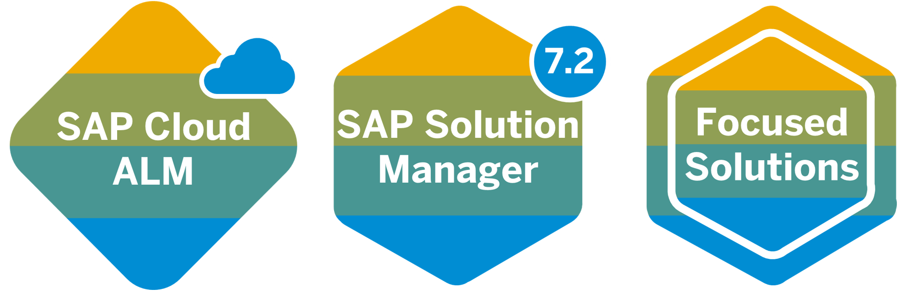 SAP Solution Manager SI Source