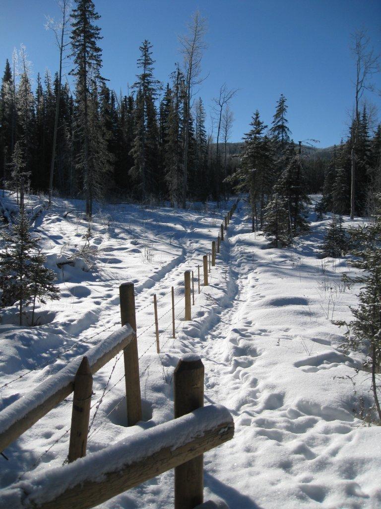 Recreation Sites and Trails BC