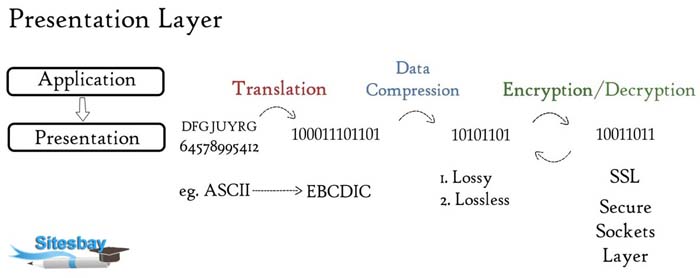 Presentation Layer In Osi Model Studyopedia - vrogue.co