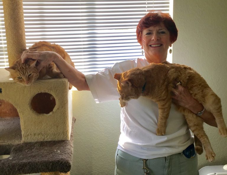Saving Lives in Riverside Foster Army Animal Rescue Project Pawsitivity