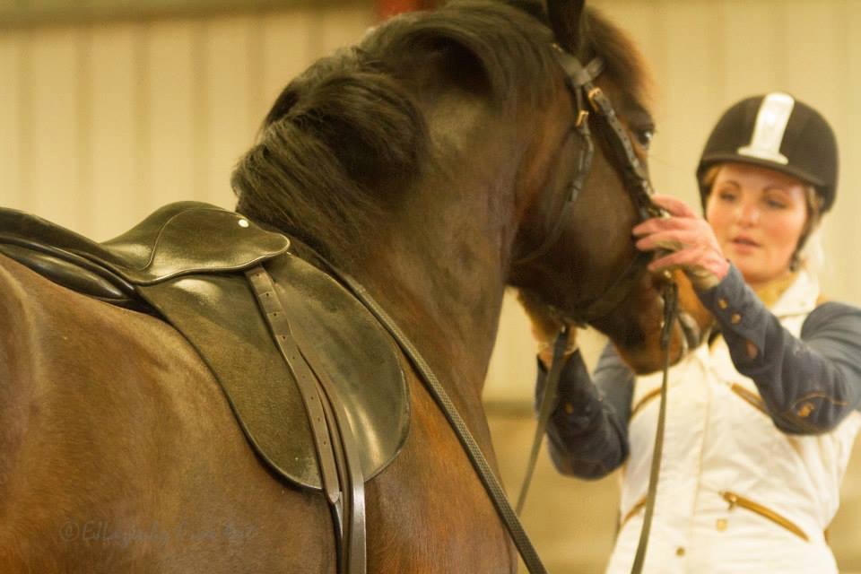 Exercise videos for the Crooked Rider, Tipping Forwards, Rounded