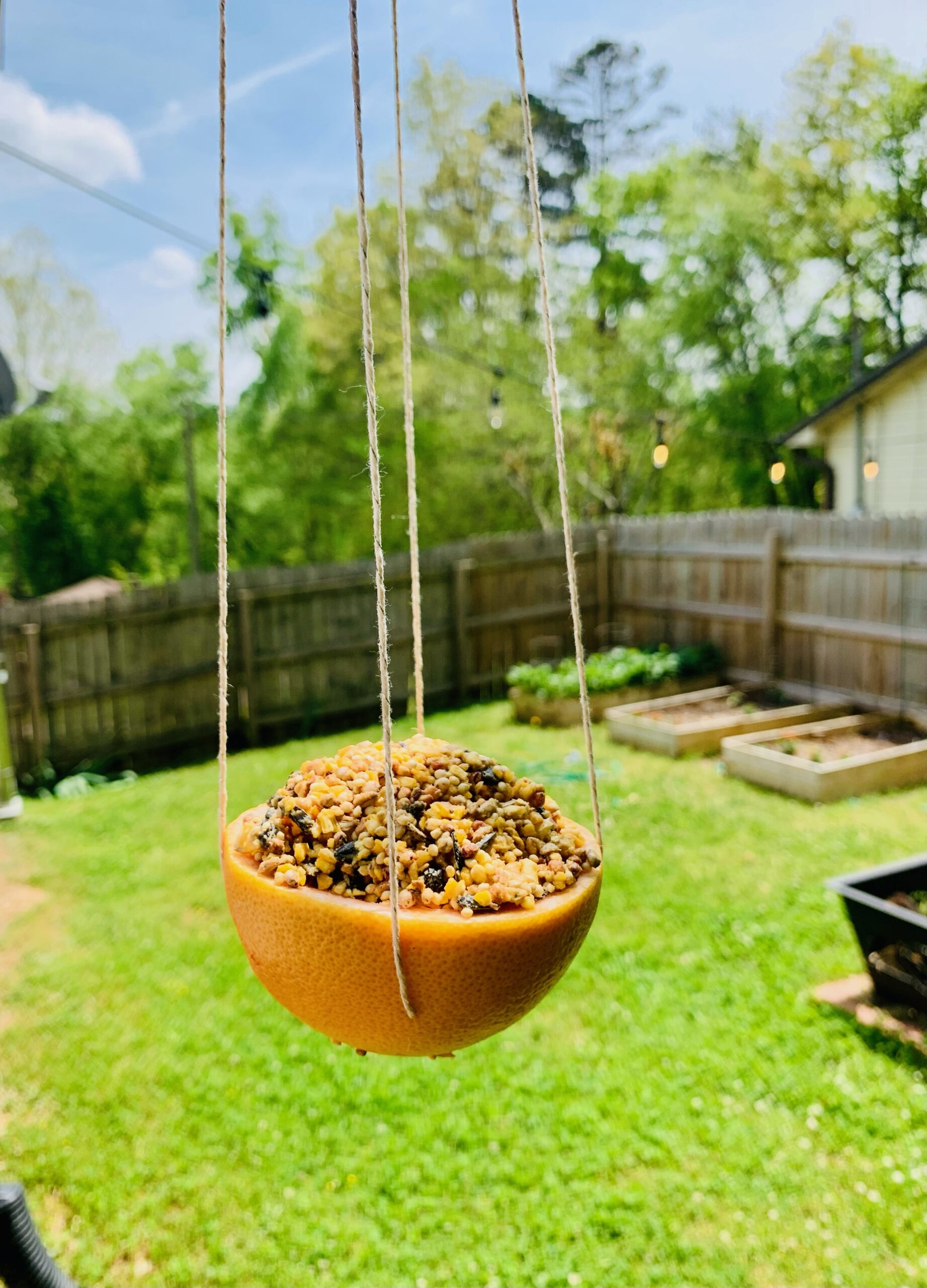 Easy Bird Feeder Craft – Six Clever Sisters