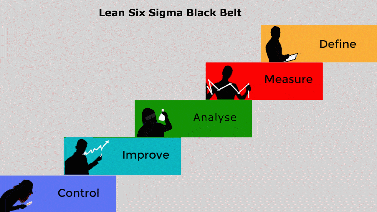What is Lean Six Sigma Black Belt?