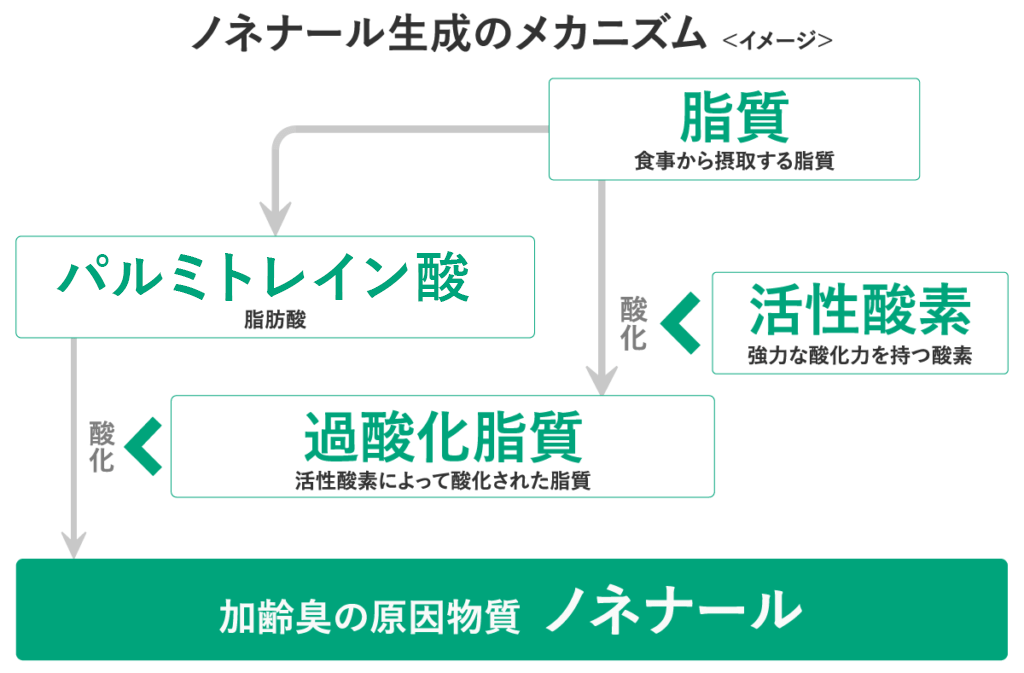ビートたけし司会『家庭の医学』がリニューアル！「健康寿命」に焦点を当てた内容に | Tv Life Web 本気の加齢臭対策で嫌なニオイを抑え込む！すぐ実践できる15の方法 | ボデオ360（Bodeo）公式通販｜シックスセンスラボ