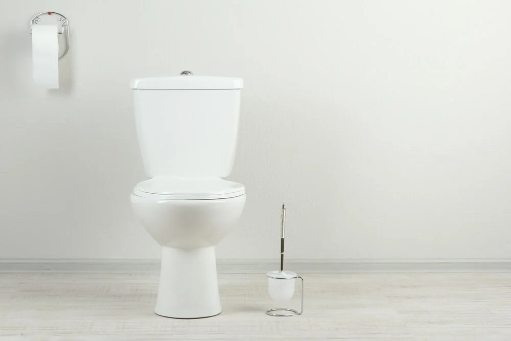 How Much Does It Cost To Have a Plumber Unclog a Toilet? (Answered by a