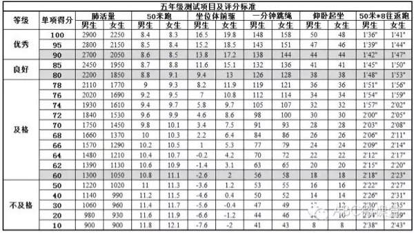 球盟会 5