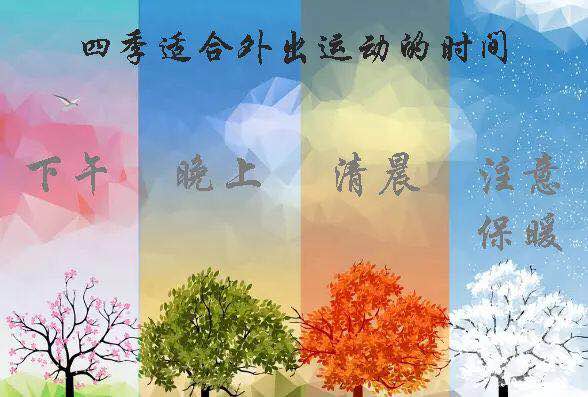 球盟会 2