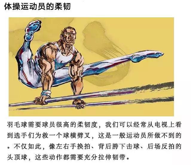 体操