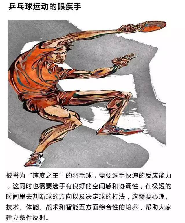 乒乓球
