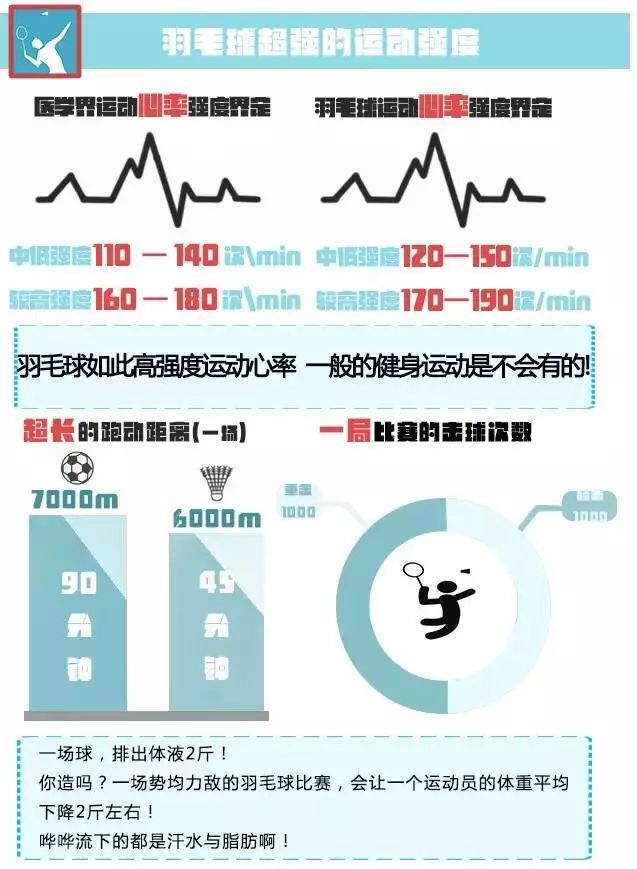 解析图