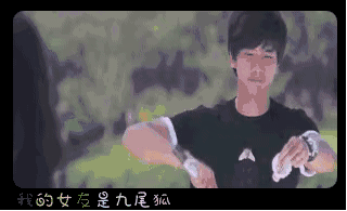 动态图