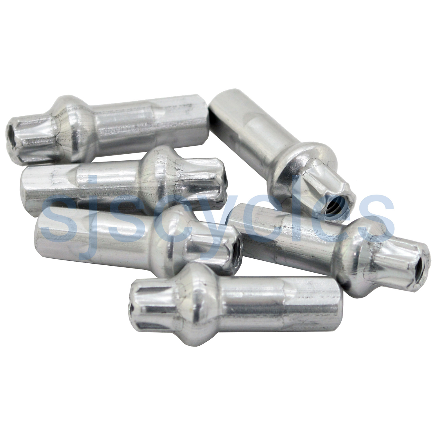 DT Swiss 2.0 mm x 15 mm Prolock Pro Head Squorx brass nipples silver