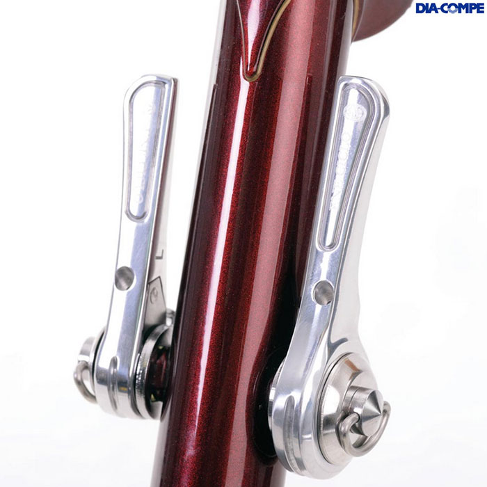 ENE 11 Spd Down Tube Shifters