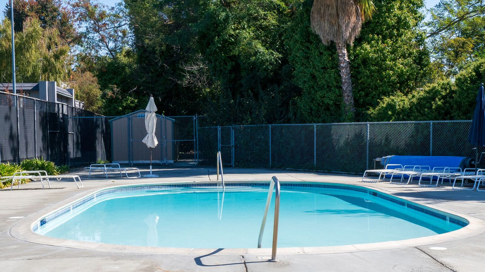 SWIM San Jose Swim and Racquet Club