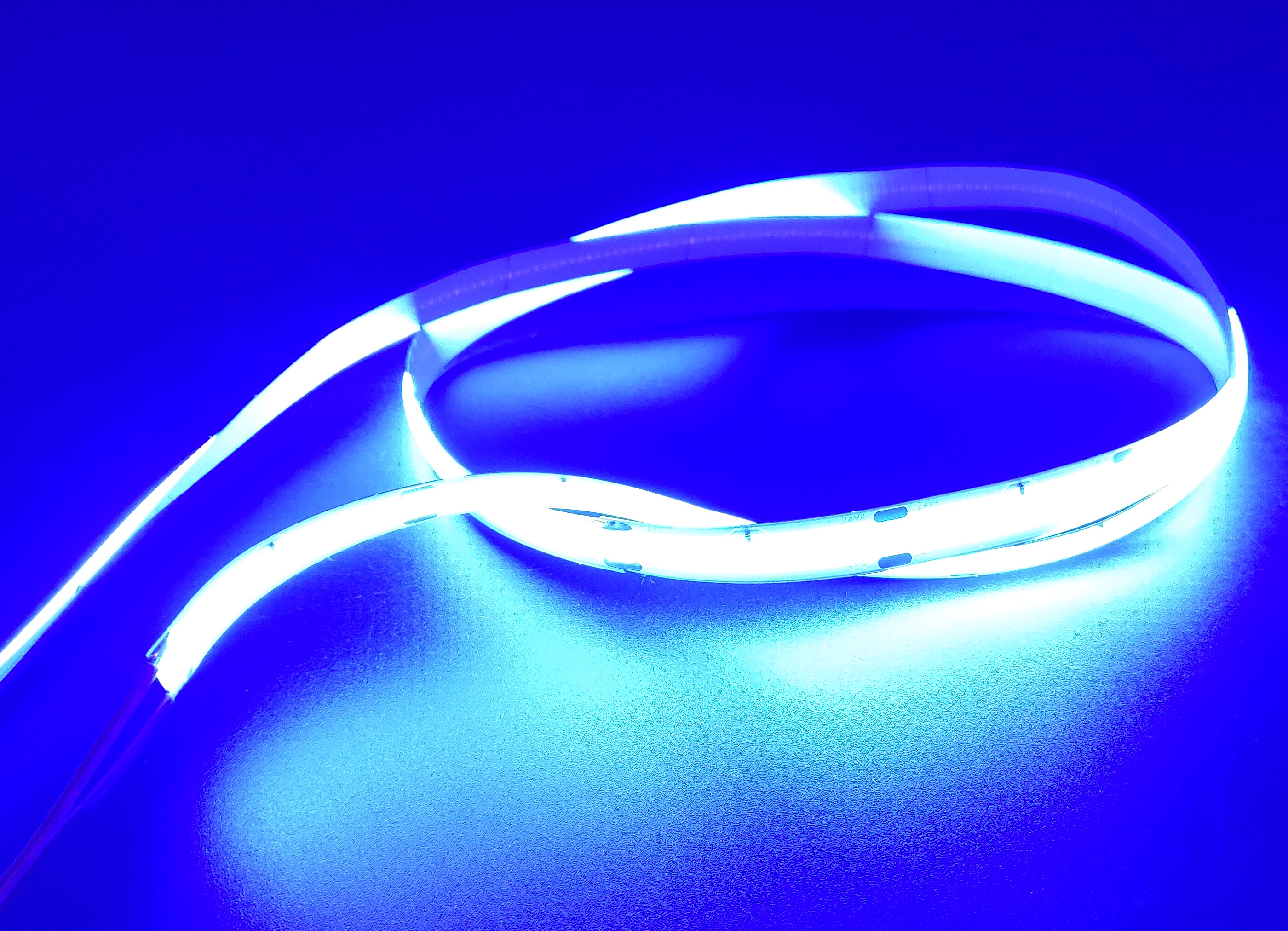 576leds/m COB LED Strips Red/Blue/Green factory and suppliers Sunjie