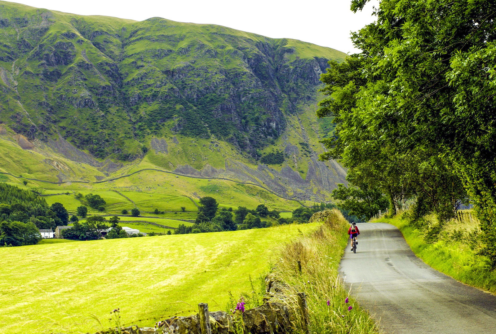 Coast to Coast (C2C) Cycling Holidays UK Saddle Skedaddle