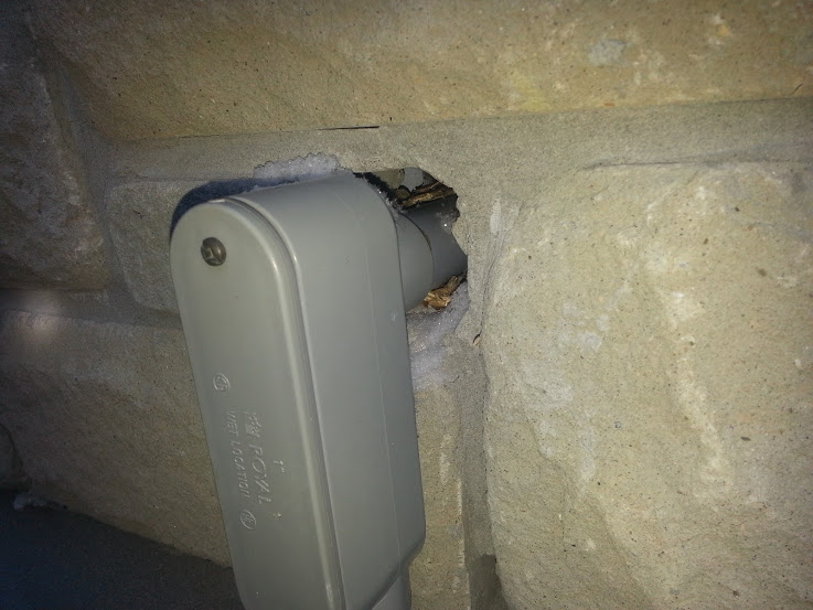 How Mice Get Into Houses