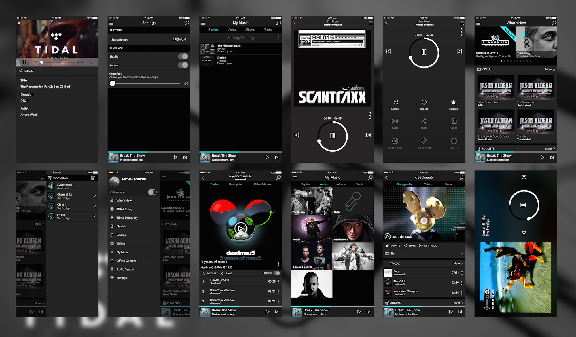 Tidal Music App UI Sketch Resource for Sketch Image Zoom Attachment