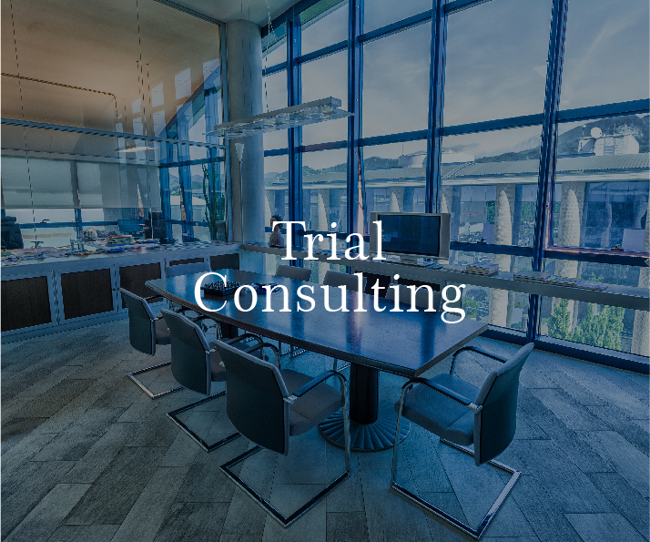 Trial Consulting Services The Skilled Advocate Company The Skilled