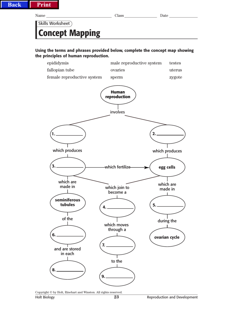 Biology Evolution Concept Mapping Answer Key Skills Worksheet Holt Bio