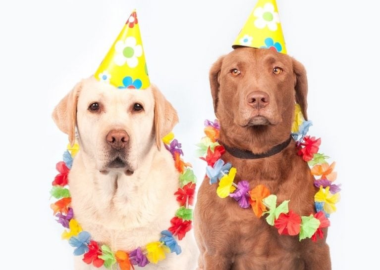 Top 25 Humor Blogs of 2023 Get Laughing So Hard