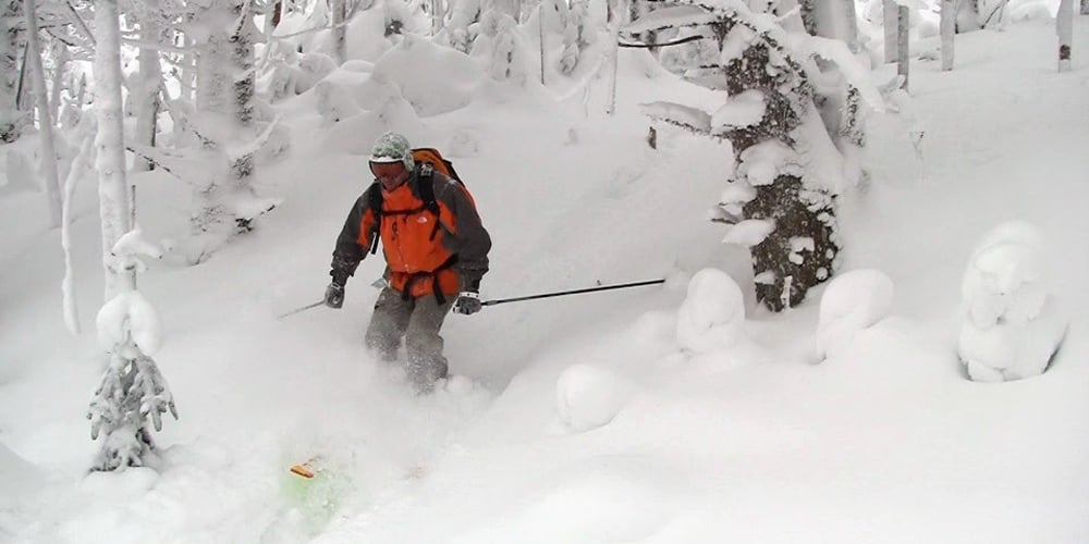 Roan Mountain—Cross Country Ski This Weekend Ski Southeast