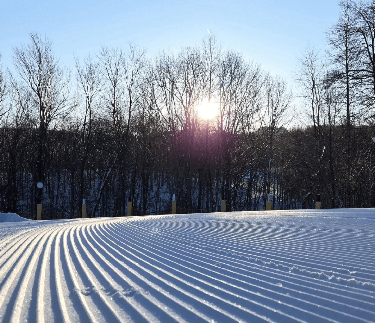 Hit the Slopes Snow, Sun, and Hidden Gems Await! Ski Southeast