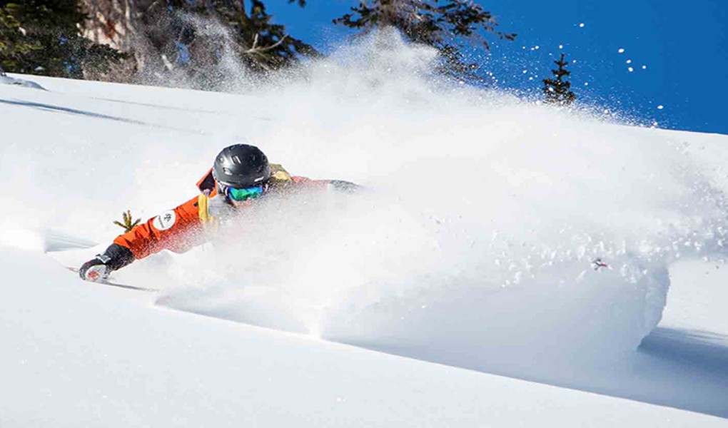 Snowbird Helicopter Skiing Ski Utah