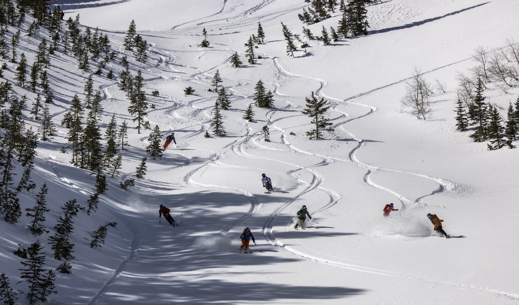 Snowbird Helicopter Skiing Ski Utah