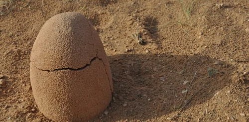 Mongolei Reisen Kleine Gruppen + SKRDurchführungsgarantie