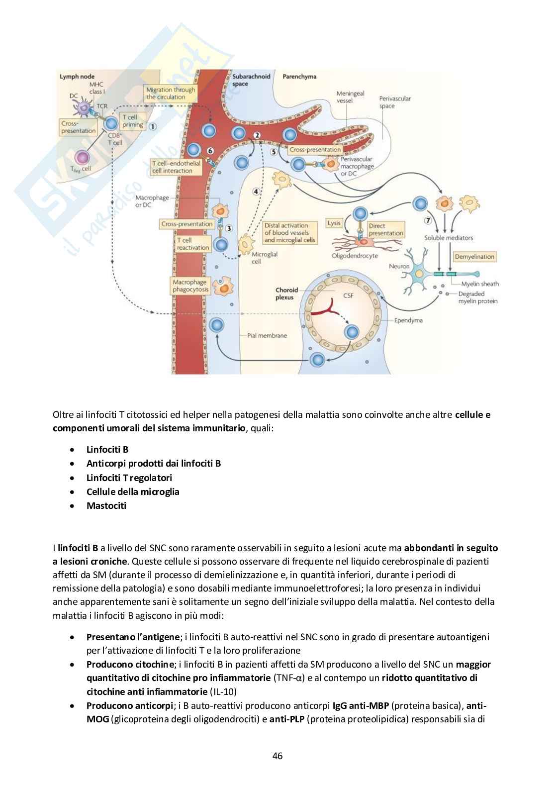 Fisiopatologia del sistema nervoso centrale Di Nuzzo.