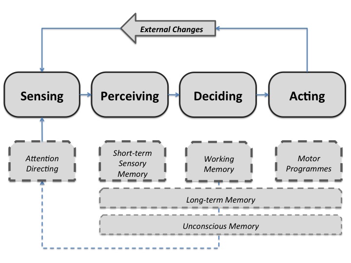 Human Information Processing Model
