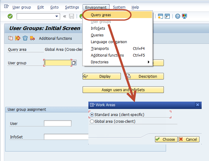 Using SAP Query Functionality for BI Data Source Enhancement Skybuffer