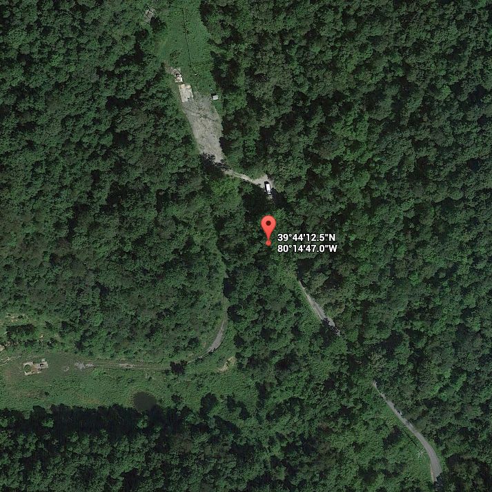 Skylar Neese The Memorial