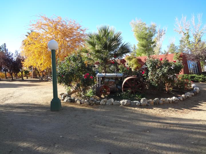 Customer Testimonials