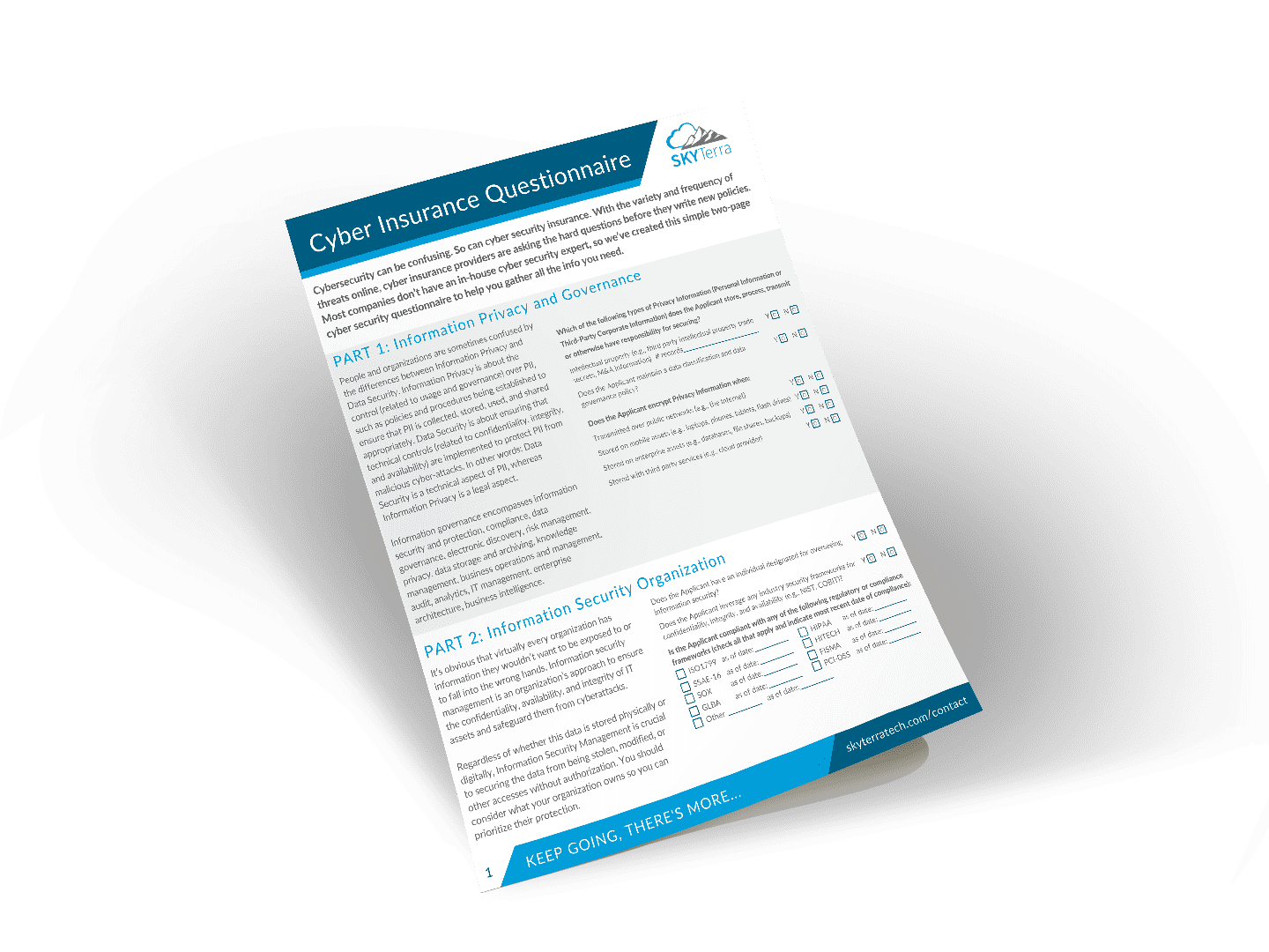 Cyber Security Insurance Questionnaire SkyTerra
