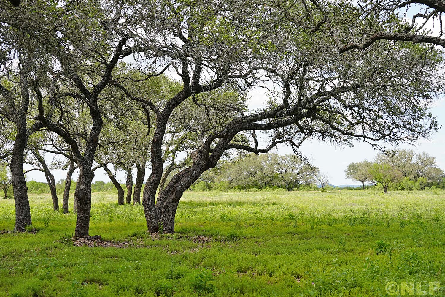 Sky View Ranch Land Property Photo Gallery