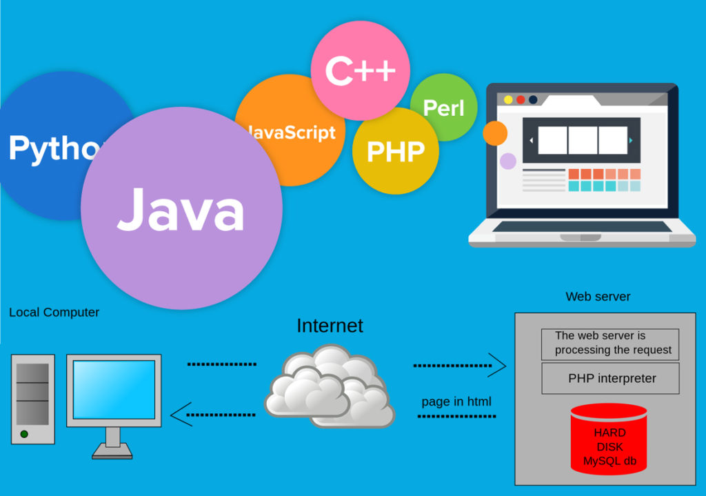 How many serverside scripting languages are Used?