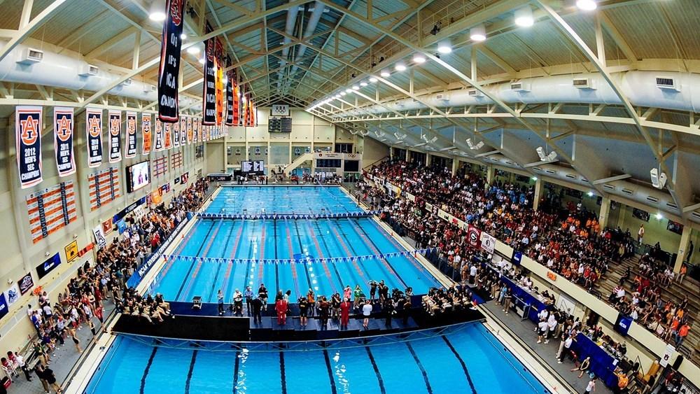 The 10 best College Swimming facilities in the USA Slamstox