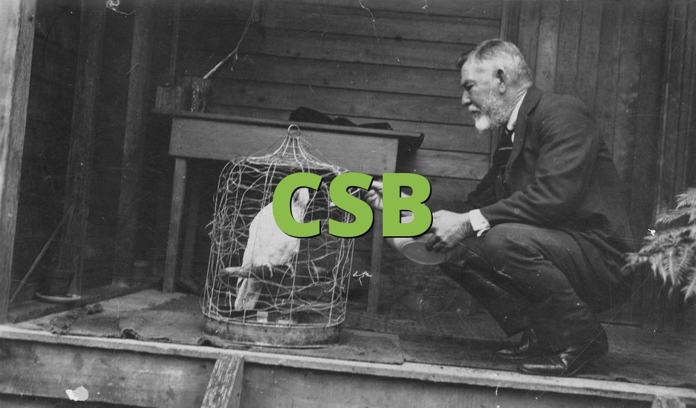 CSB » What does CSB mean? »
